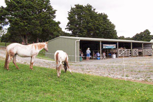 Sparkling Acres' open day